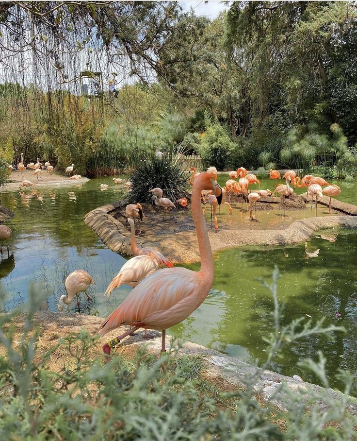 Adventure of Al Ain city (full-day tour package)